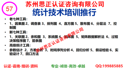 统计技术咨询服务（初中级）